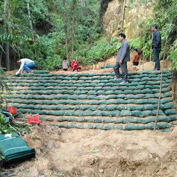 生态袋施工应用