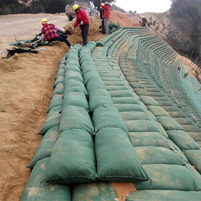 生态袋施工应用